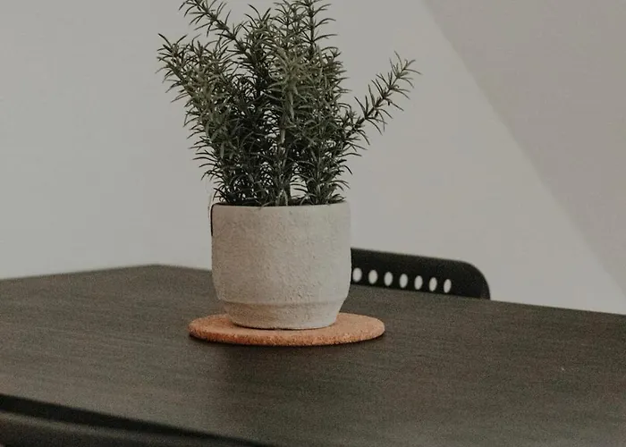 Cozy With A Stream View Vallendar