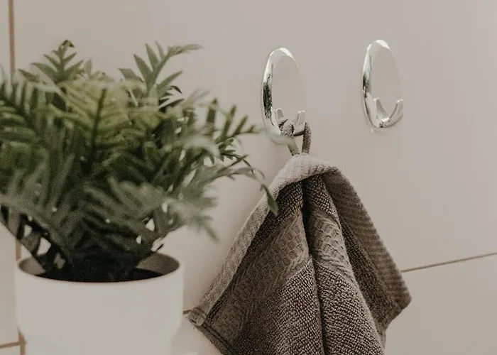 Cozy With A Stream View